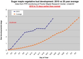 budbreak.jpg thumbnail