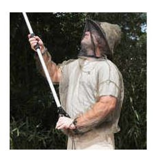 Bug_Jacket.JPG