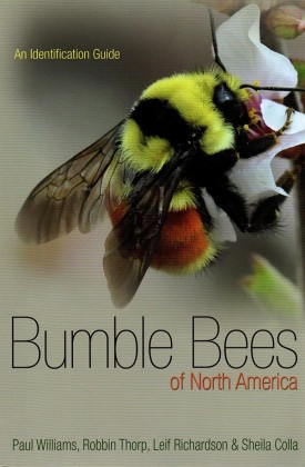 Bumble-Bees-Cover.jpg thumbnail