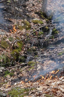 burn_lead_pic_web.jpg thumbnail