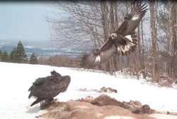 Camera_Trapping_3.jpg