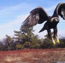 Camera_Trapping_Header.jpg thumbnail