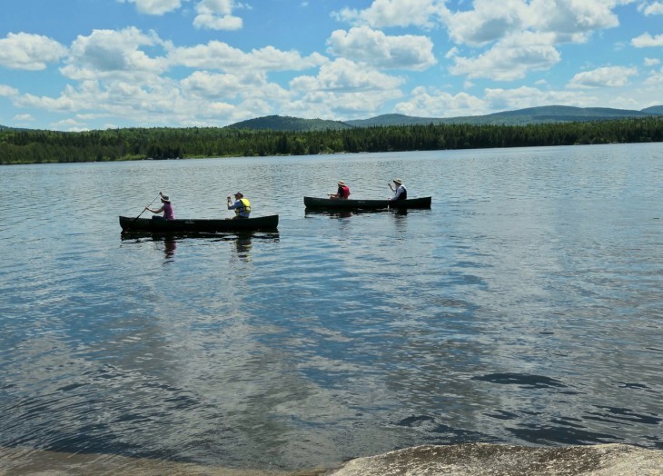 The Loons of Lyford Pond