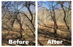 capture_before_after+web.jpg