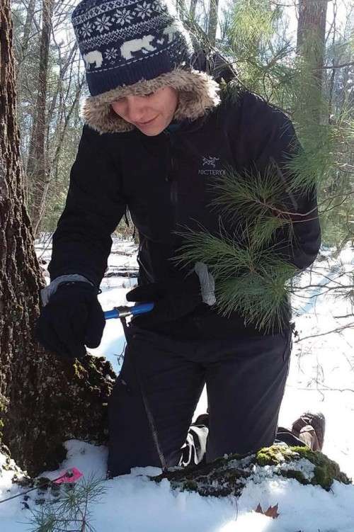 Tree carb samples