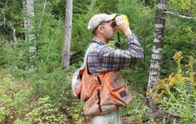 Carbon offsets thumbnail