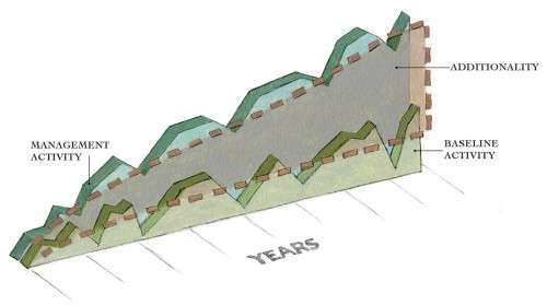 Carbon storage