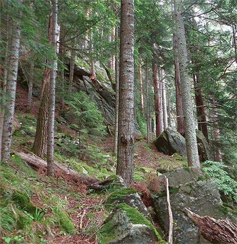 The Romanian Carpathians