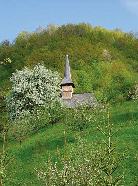 The Romanian Carpathians