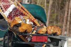 chaga_0071_web.jpg
