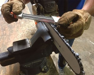 Tricks of the Trade: Myths and Mistakes of Chainsaw Sharpening thumbnail