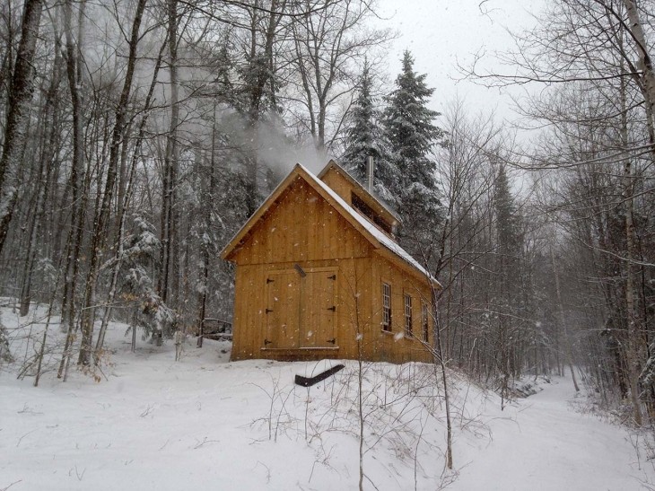 Rich & Ann Chalmers: Learning About the Forest