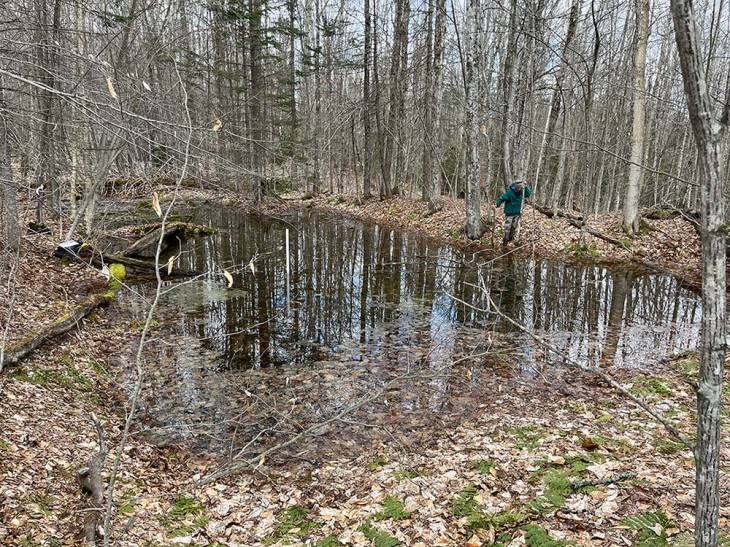 Rich & Ann Chalmers: Learning About the Forest