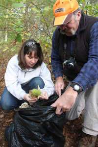 Reviving a Fallen Giant Photo: Chris Paul