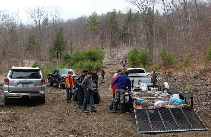 chestnut_planting_2222.jpg