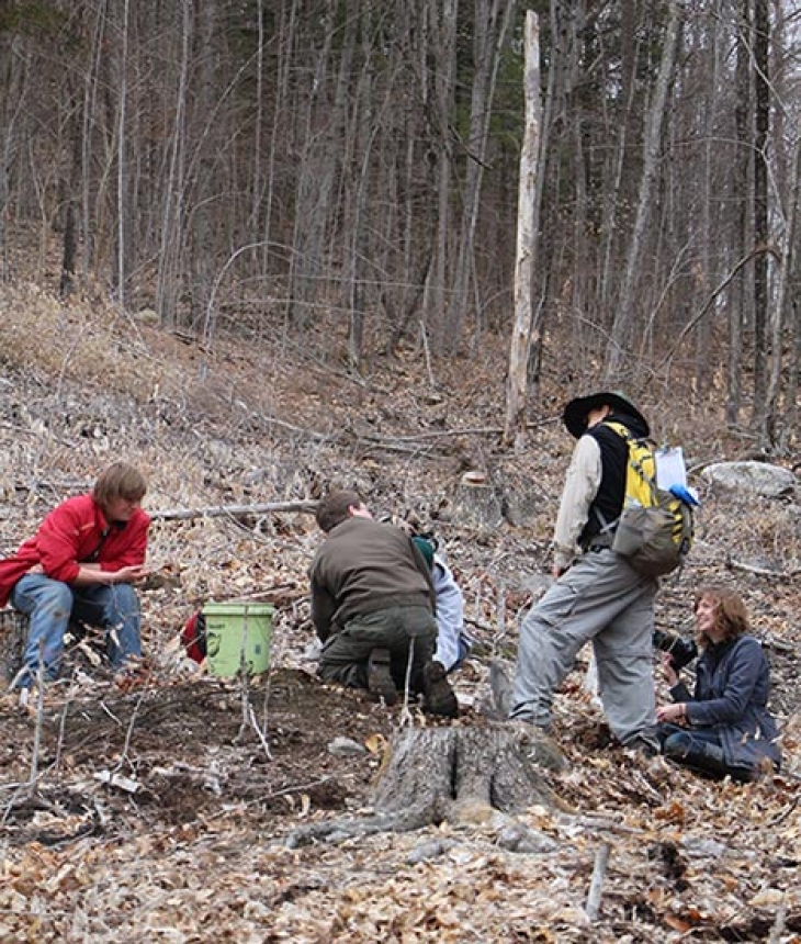 A New Home and New Hope For Chestnuts