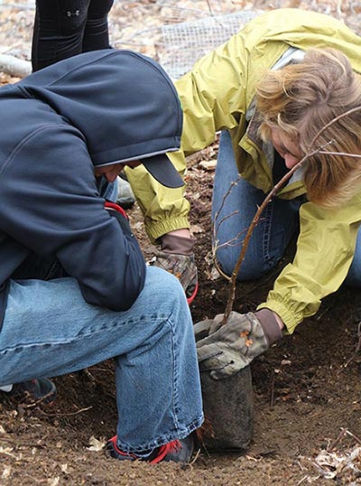 A New Home and New Hope For Chestnuts