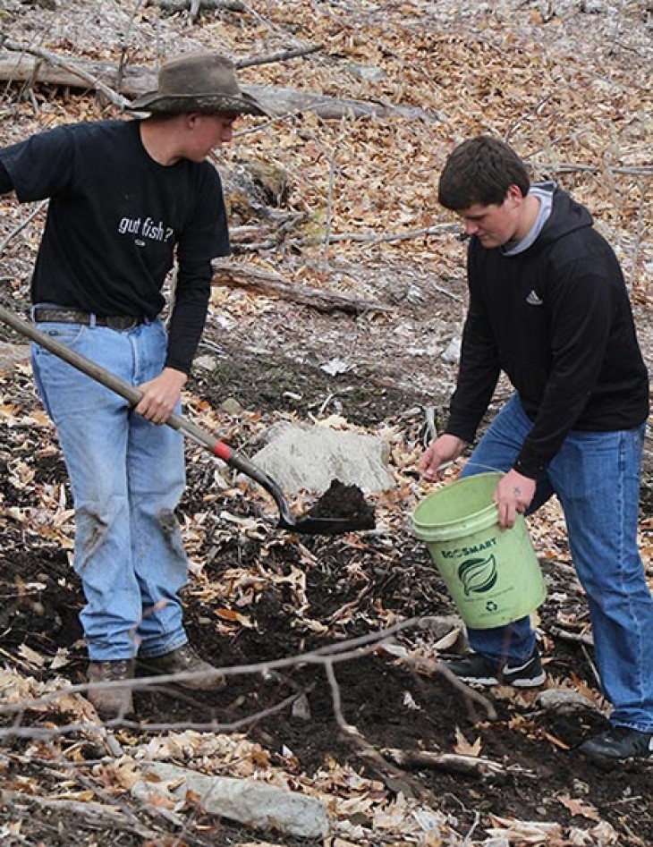 chestnut_planting_2248.jpg