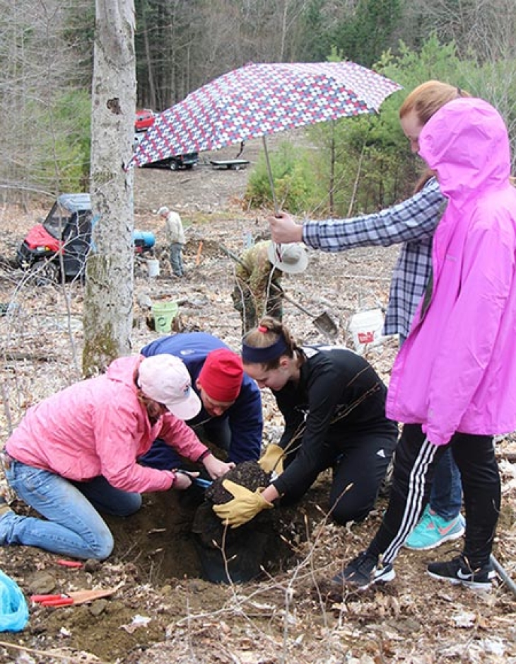 A New Home and New Hope For Chestnuts