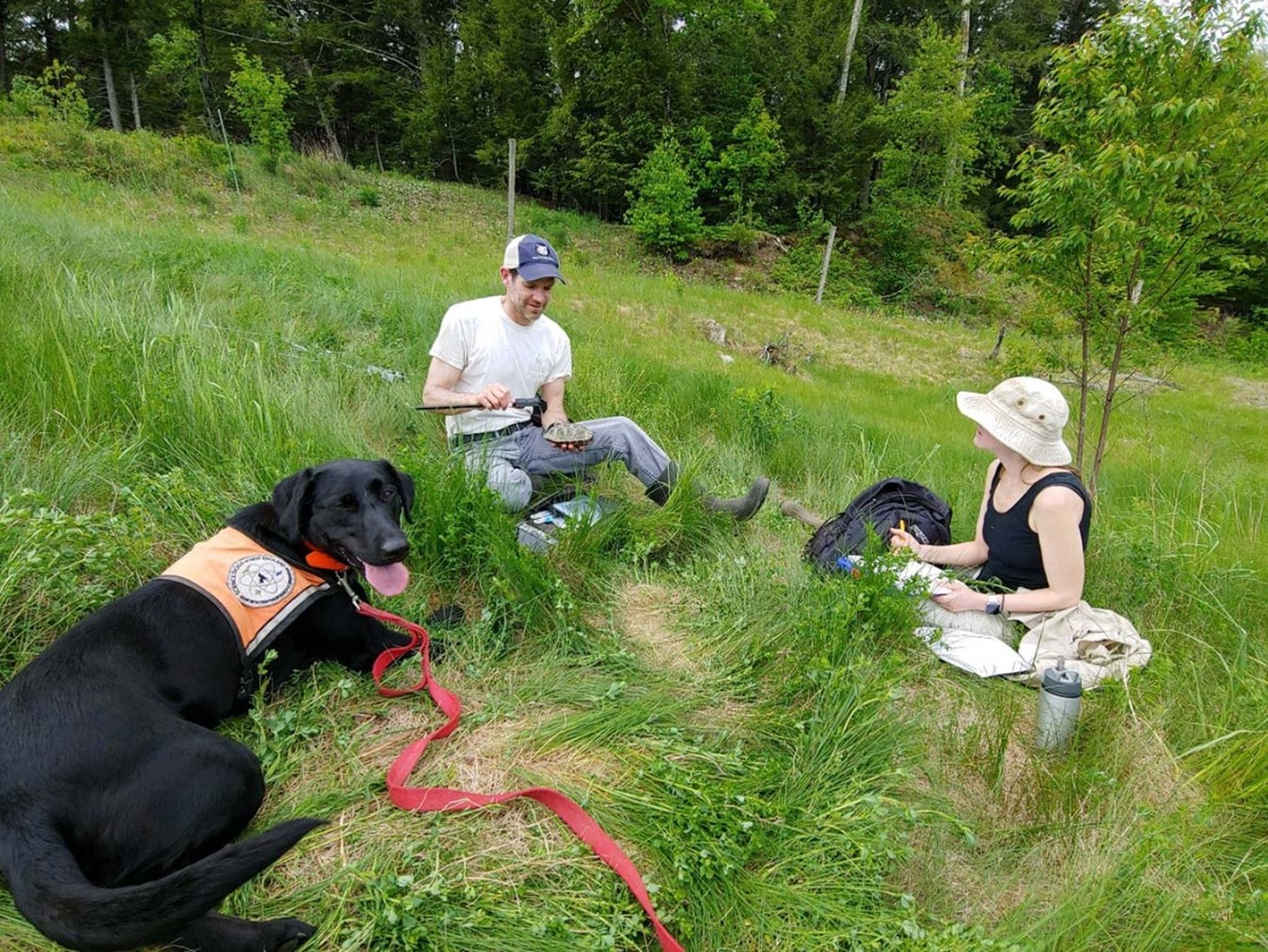 Learning About Conservation Dogs with Lindsay Ware