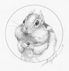 Chipmunk_cheeks.jpg thumbnail
