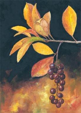 chokecherry.jpg thumbnail