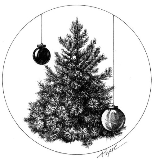 Christmas Tree ID thumbnail