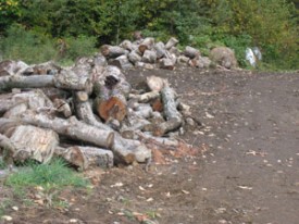 chunks_2.JPG thumbnail