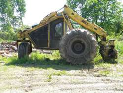 A Clearcut, Part 2 Photo: Northern Woodlands