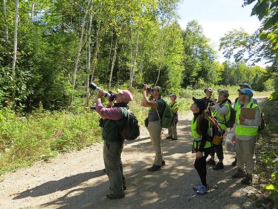 Creating a Community: Coming Together to Conserve Forestland for All