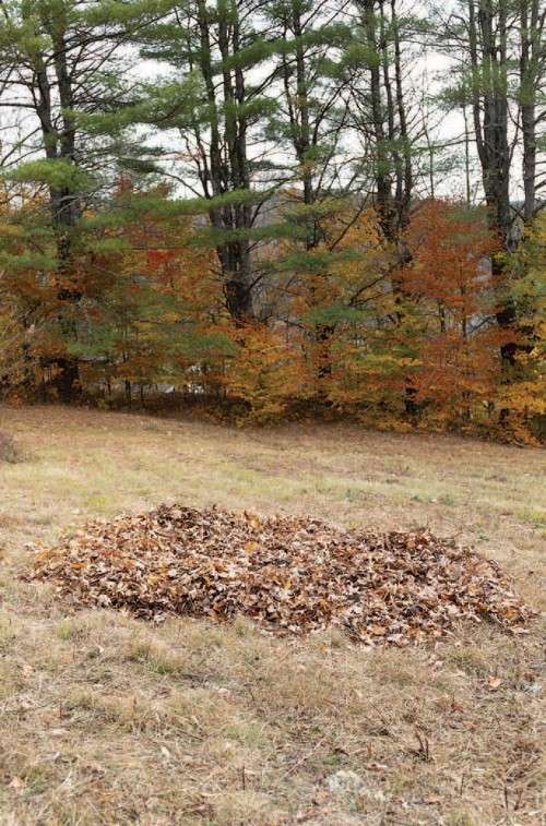 Composted leaf pile