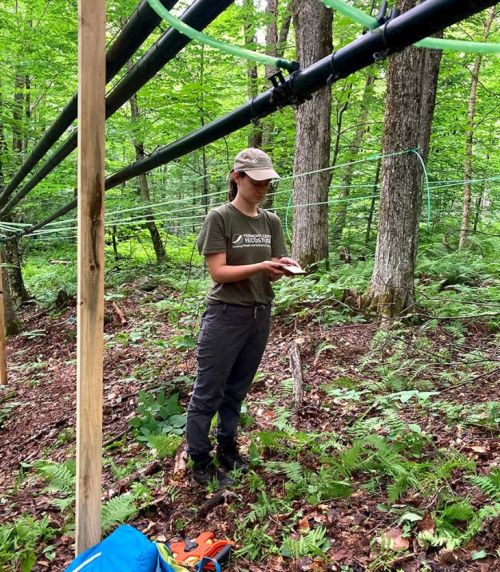 Conducting field work