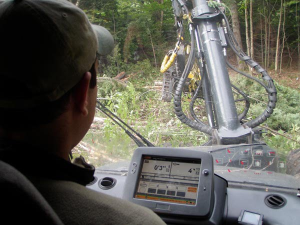 Protecting Nature, Harvesting Timber