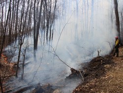 controlled_burn_1.jpg