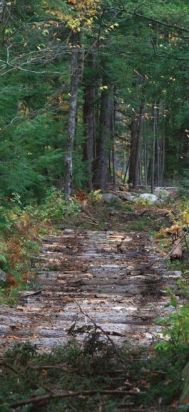 Corduroy Roads thumbnail