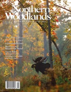 Cover photo by Roger Irwin Cover_AUT15lowres.jpg cover 