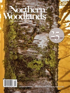 Photo by Brenda Petrella Summer 2019 cover  by Northern Woodlands