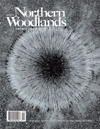 Photo by Erik Hoffner Winter 2019 cover  by Northern Woodlands