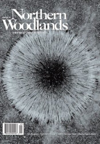 Cover of Northern Woodlands magazine winter 2019