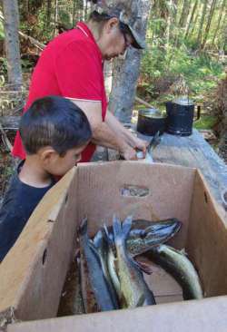 The Cree and the Crown Photo: Naomi Heindel