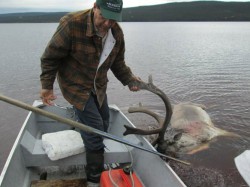 cree8.jpg