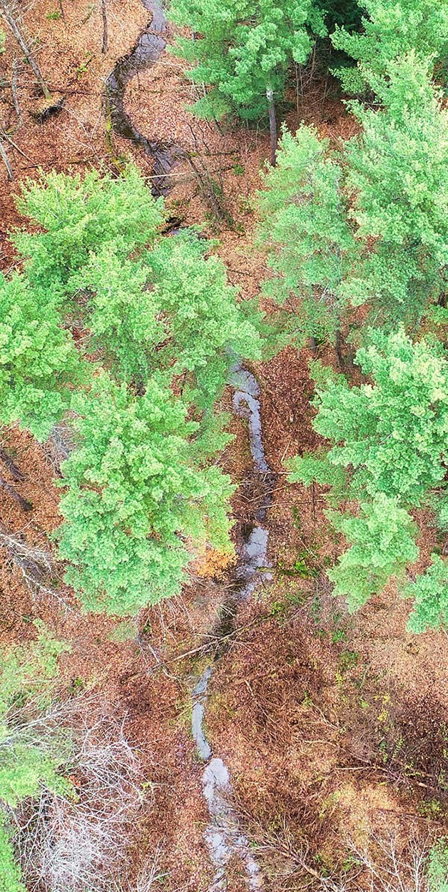 Building Beaver Dam Analogs to Restore Watersheds