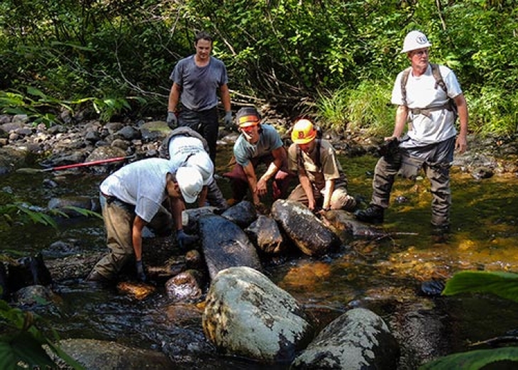 The Nulhegan We Knew: Recounting the Last Years of a Working Forest