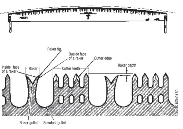 Using a Crosscut Saw