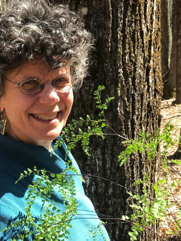 Learning the Woods with Lynn Levine