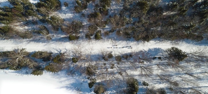 Dartmouth College grant