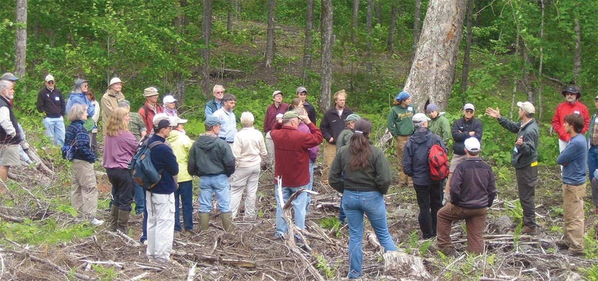 Woods talk