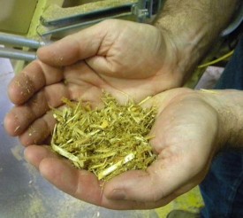dave_blog_woodpellets_web.jpg thumbnail