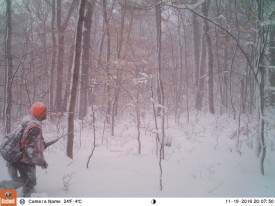 daveblog_djou_see_anything_web.jpg thumbnail