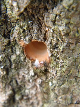 day_1_pic_250_1.jpg thumbnail